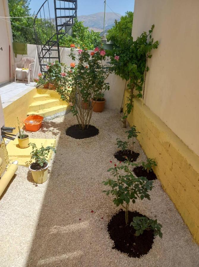 Zoe'S House In Argostoli 빌라 외부 사진